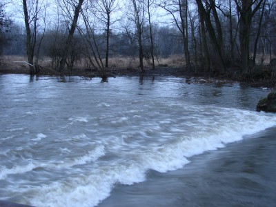 Lukavice - splav řeky Moravy